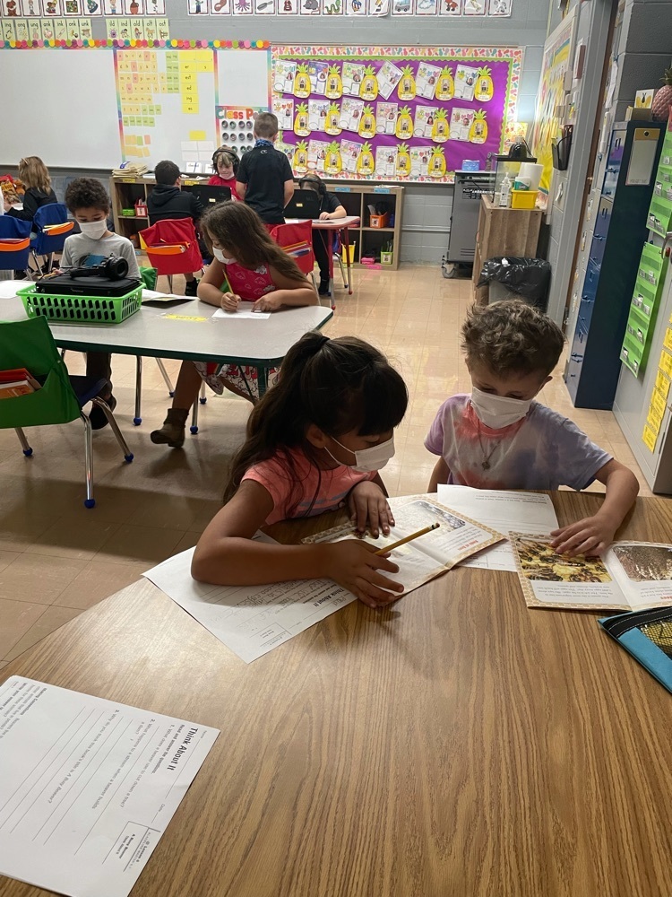 partner work