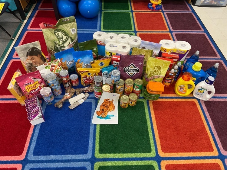 donations for the animal shelter 